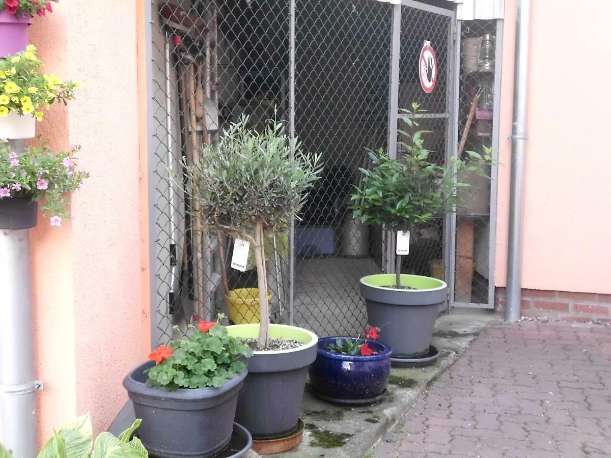 Am Erxleben-Hotel Quedlinburg Bagian luar foto